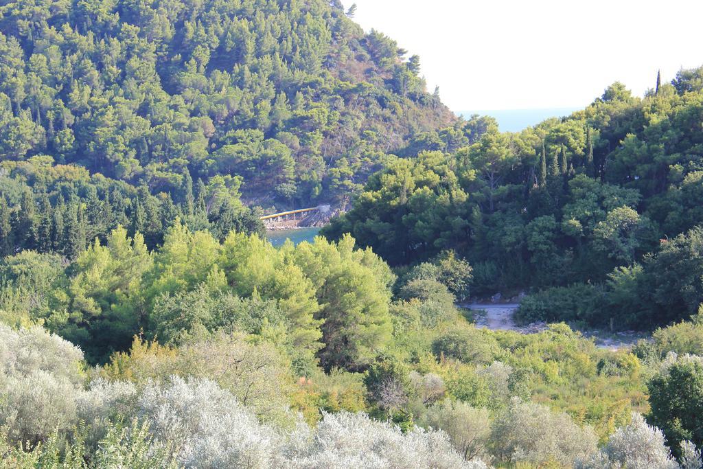 4M Apartments Petrovac Kamer foto